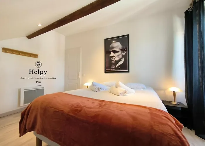 Ideal Longue Duree Centre Apartment Pau